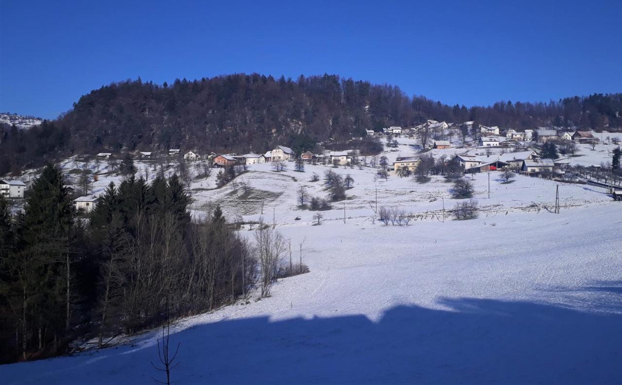 B&B Cerne Polhov Gradec Eksteriør bilde