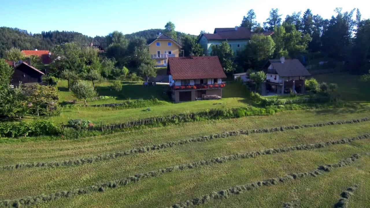 B&B Cerne Polhov Gradec Eksteriør bilde