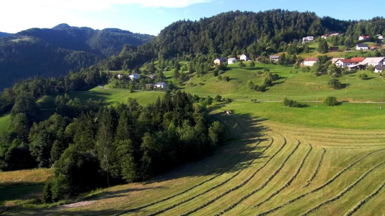 B&B Cerne Polhov Gradec Eksteriør bilde